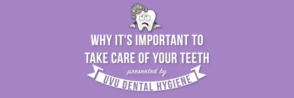 Why Is It Important To Take Care Of Your Teeth